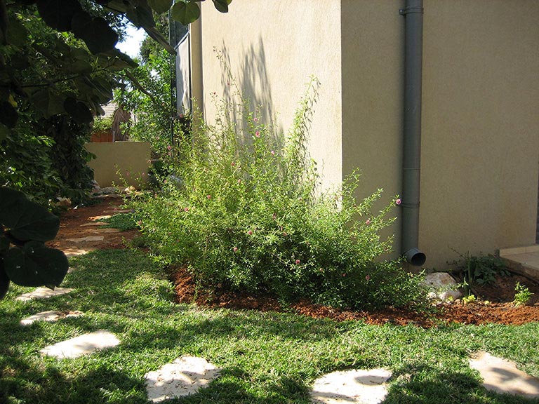 חזית חיצונית ומרזב