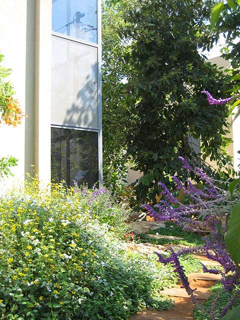 חזית חיצונית וגינה